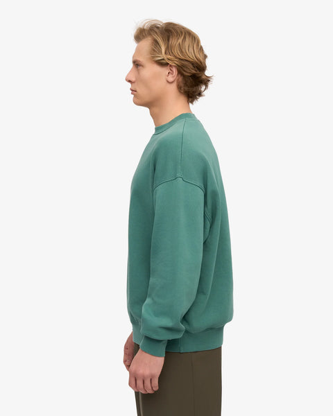 Organic Oversized Crew