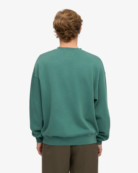 Organic Oversized Crew